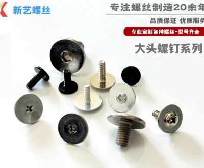 大頭螺釘系列